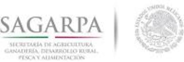 CREACIÓN DE LA SAGARPA