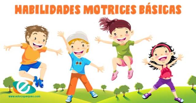 El enfoque cambia al nivel Orgánico funcional