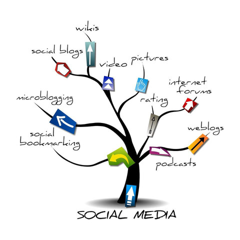 Identify Social Media Platforms