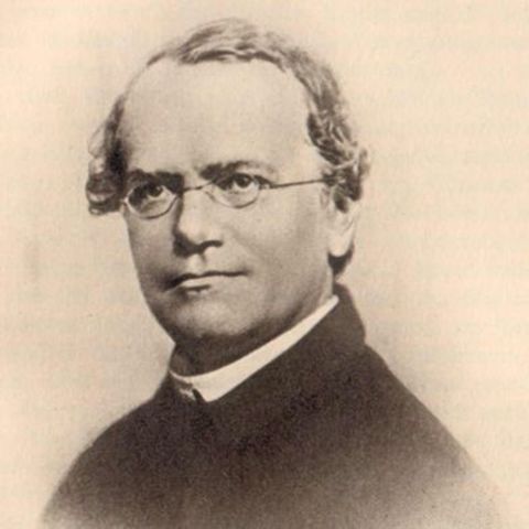 Gregor Mendel