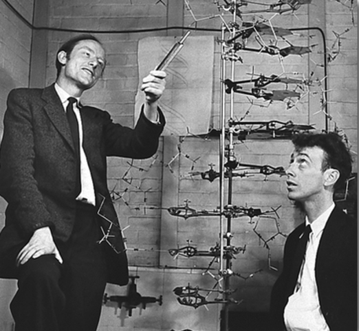Watson & Crick