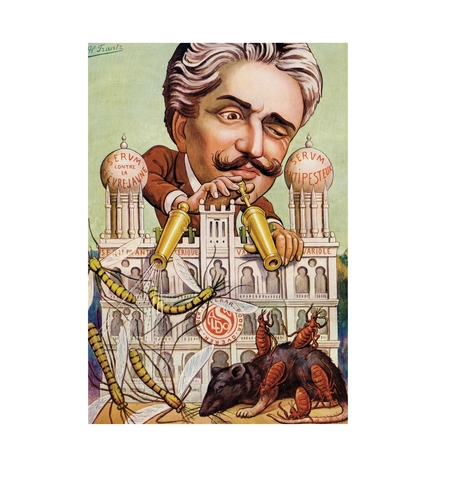 Erradicação da Febre Amarela no Rio