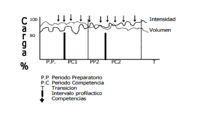 MODELO DE ALTAS CARGAS DE TSHIENE