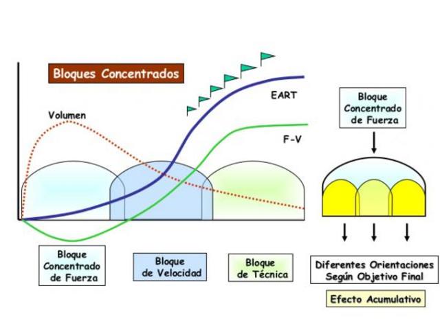 MODELO DE ENTRENAMIENTO POR BLOQUES DE VERKHOSHANSKY