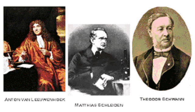 Los 3 grandes científicos.