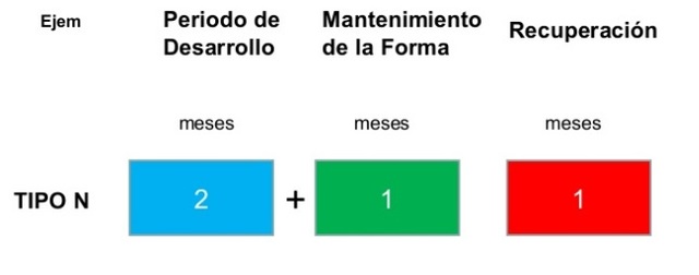 MODELO INTEGRADOR DE BONDARCHUK