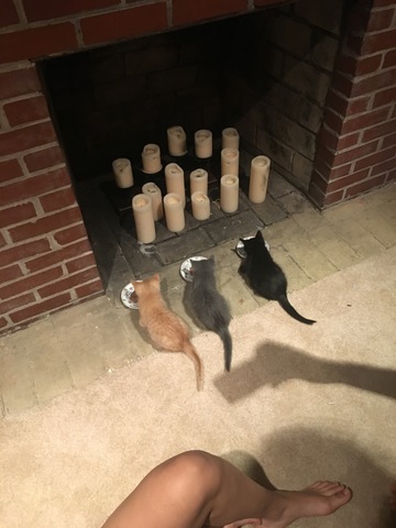 Mes parents se sont sépares