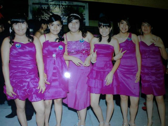 MODELO INTELECTUAL, MODELO BIOLÓGICO Y MODELO SOCIAL