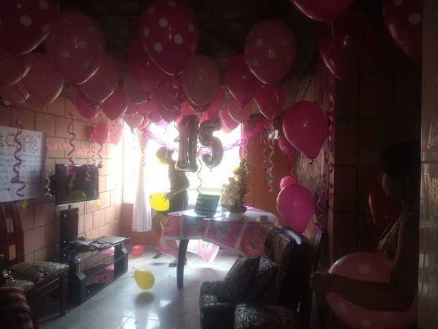 Los 15 años demi hermana fernanda