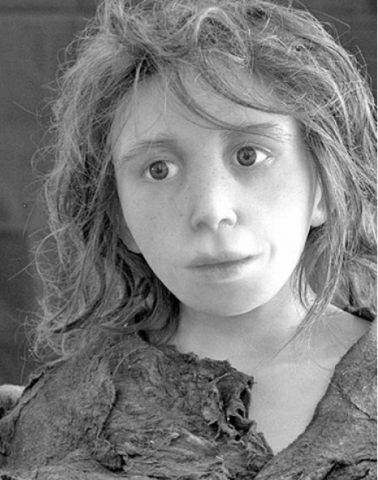 La Revolución Cognitiva