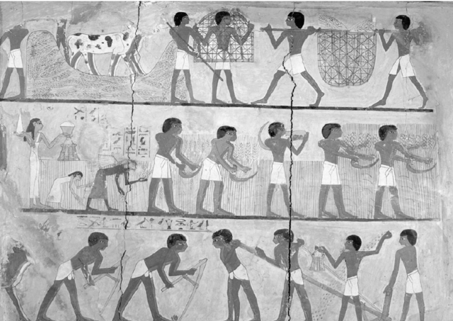 La Revolución Agrícola