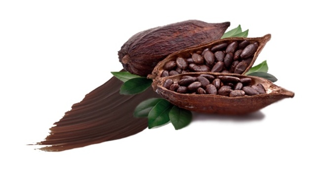 History of chocolate in Spain