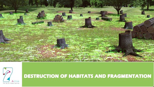 Destruction of the habitat