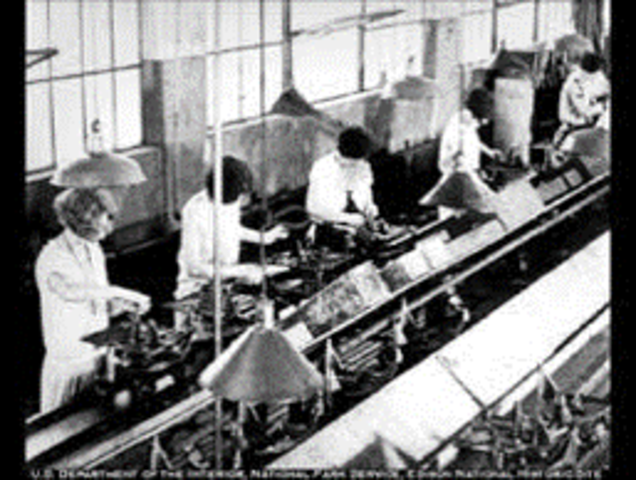 Frederick Winslow Taylor (1856-1915)