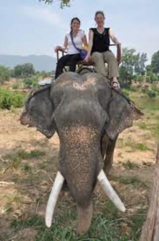 people riding a elephant