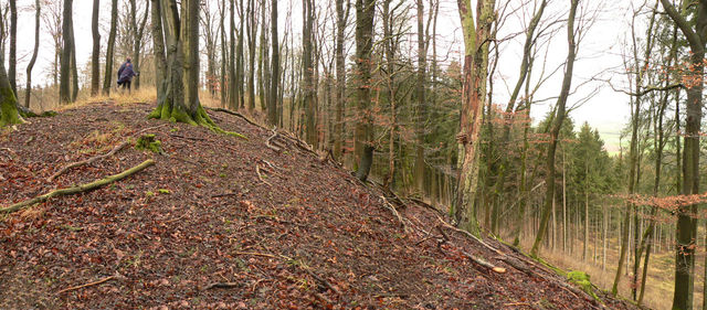 Battle at the Harzhorn