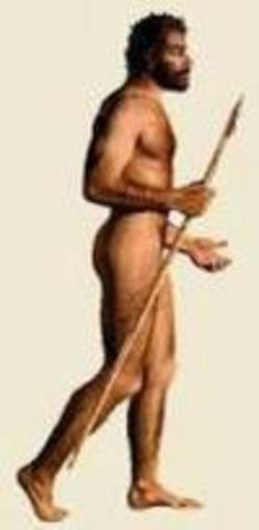 HOMO SAPIENS e HOMO SAPIENS SAPIENS