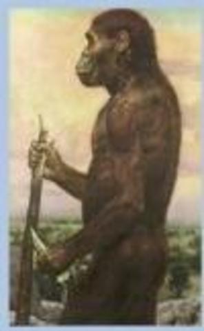 Compaiono i primi uomini