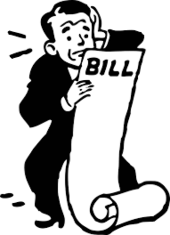 Bill enacted by the A.Parliament (par.25)