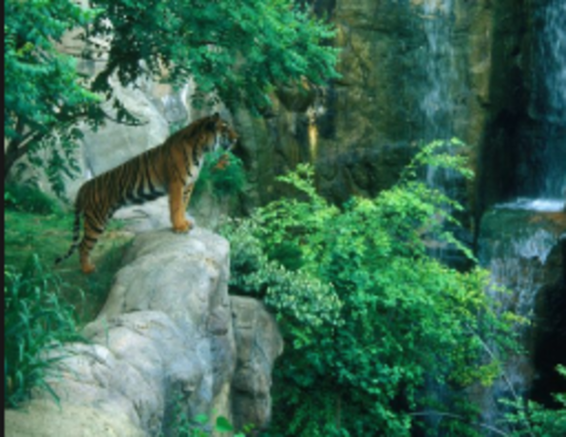 Suprise Ravine Scare