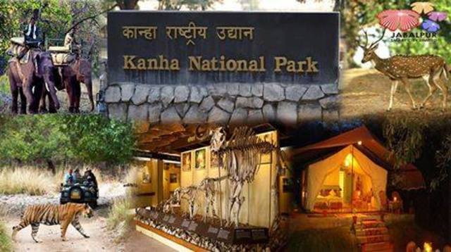Kanha National Park