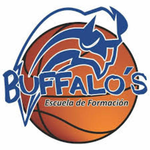 mi escuela de basquet