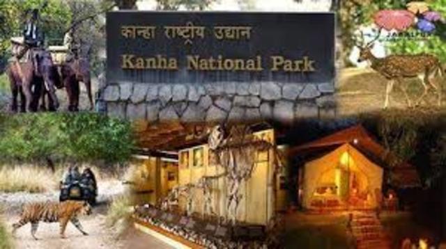 Kanha National Park