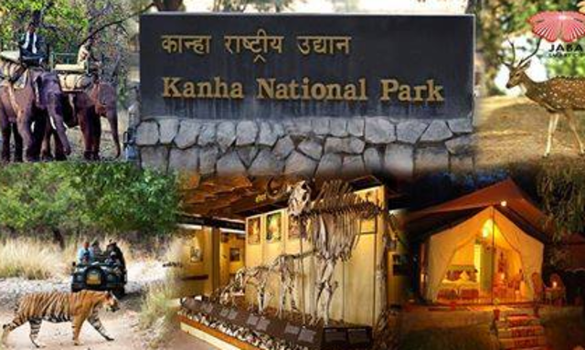 Living in Kanha National Park