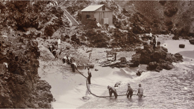 The first transatlantic telephone cable begins to be installed
