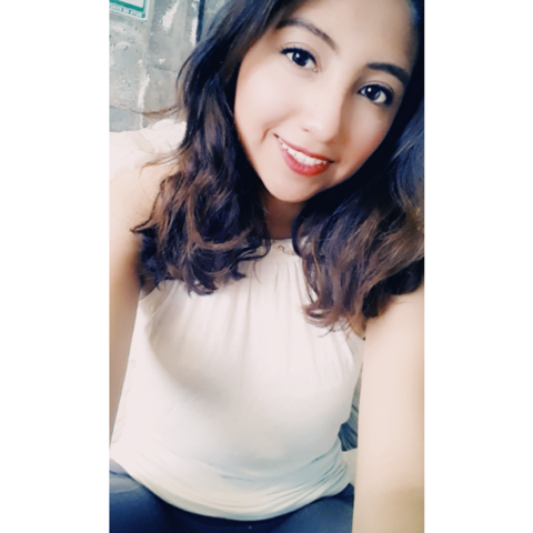 Ingresar a la universidad