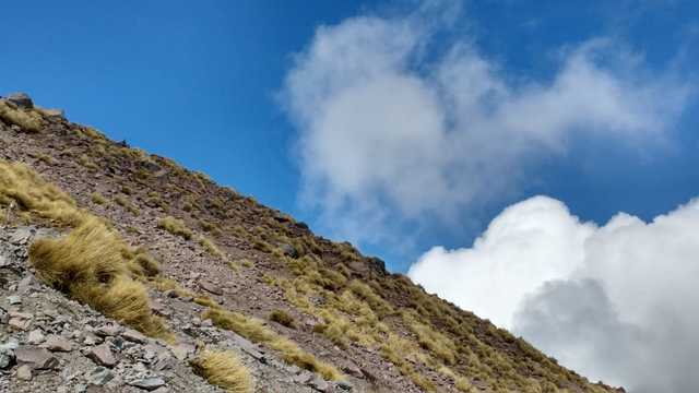 Ejercer mi carrera profesional