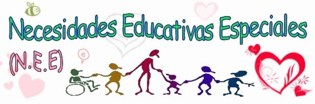 Conferencia Mundial de NEE