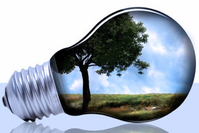 Sustainable Development