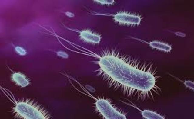 Teoria Celular Moderna 1