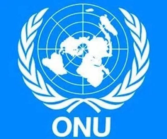 Participación de la ONU en los derechos de los impedidos