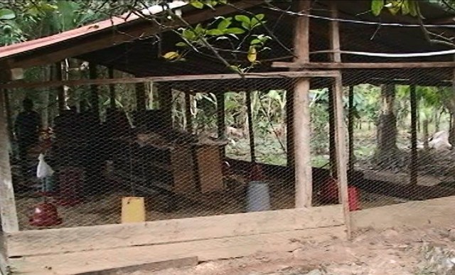 Entrega fraccionada de insumos