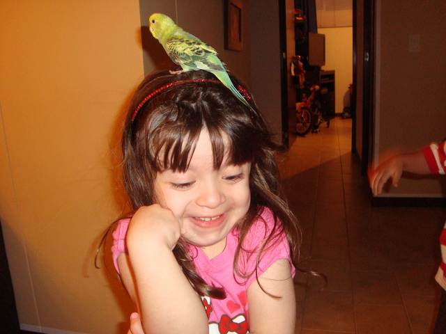 Mi otra mascota Pancho