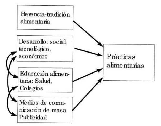 Practicas alimentarias adecuadas