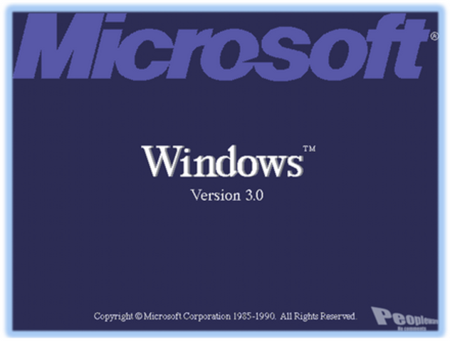 Windows 3.0