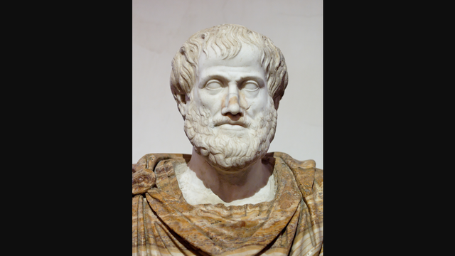 Aristotle argues celestial bodies are spheres.