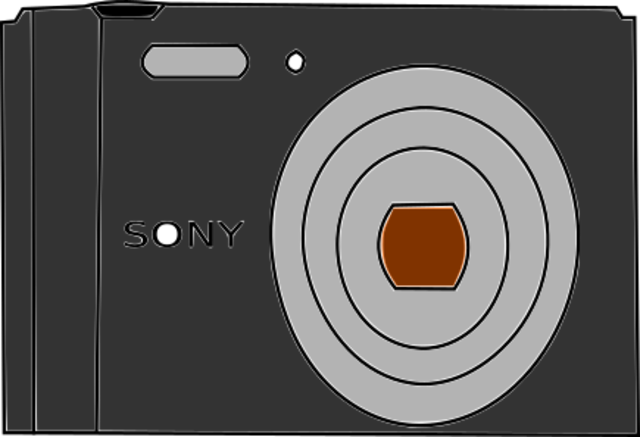 Camara sony vieja