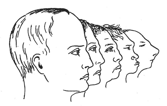 Franz Joseph Gall. Frenología. 1793 aprox