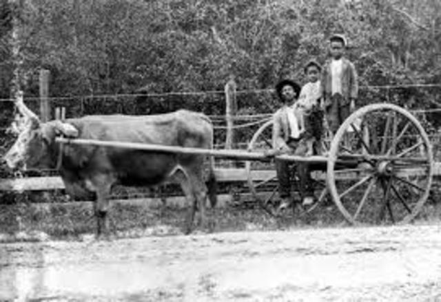 Higher Farming Technology