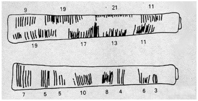 Hueso de Ishango y Hueso de Lebombo
