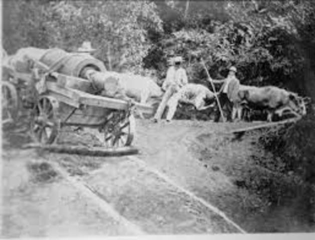 Transporte de información (fuerza animal)