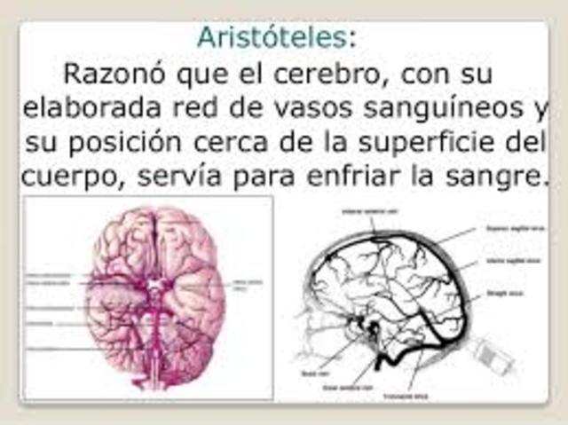 Aristóteles. 354 Aprox