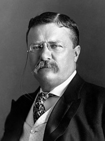 Theodore Roosevelt