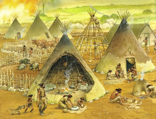 Etapa de garrote (Neolítico) y Etapa Domestica