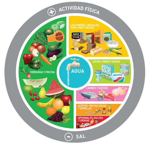 Guías alimentarias y de actividad física para la población costarricense