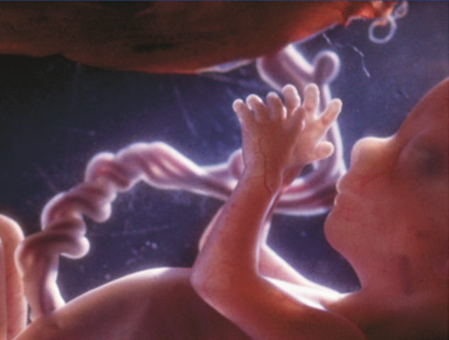 El 4. o mes 14. a- 15. a semana